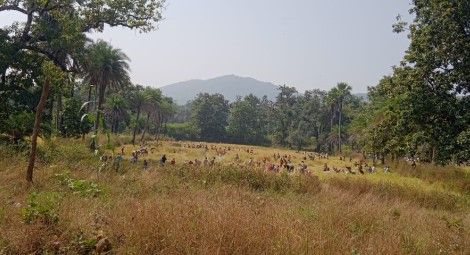 A field looted in Michwar village.
