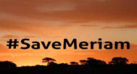Sudan: Meriam Ibrahim to be released on bail