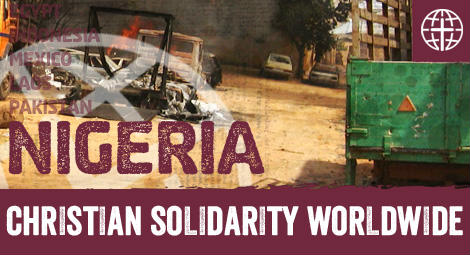 Nigeria government orders investigations into kill