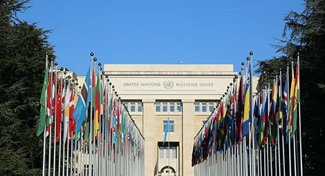 Flags at the United Nations, Geneva. Credit: Salya T/Unsplash