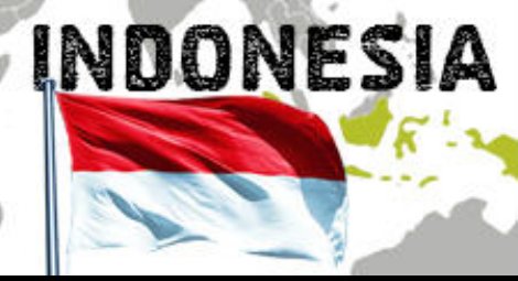 Indonesian flag 225x120