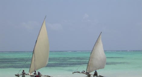 Prayer diary: Tanzania