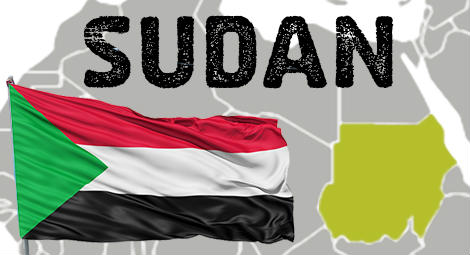 Sudan: Meriam39s lawyers challenge constitution