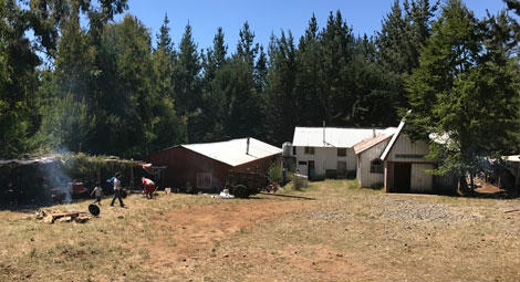 Prayer Diary: Chile