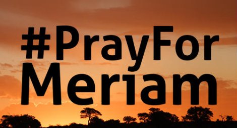 Appeal challenging Meriam Ibrahim39s acquittal