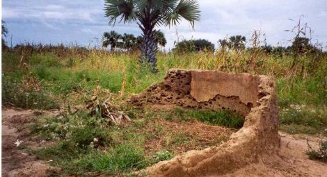 Sudanese authorities demolish church building