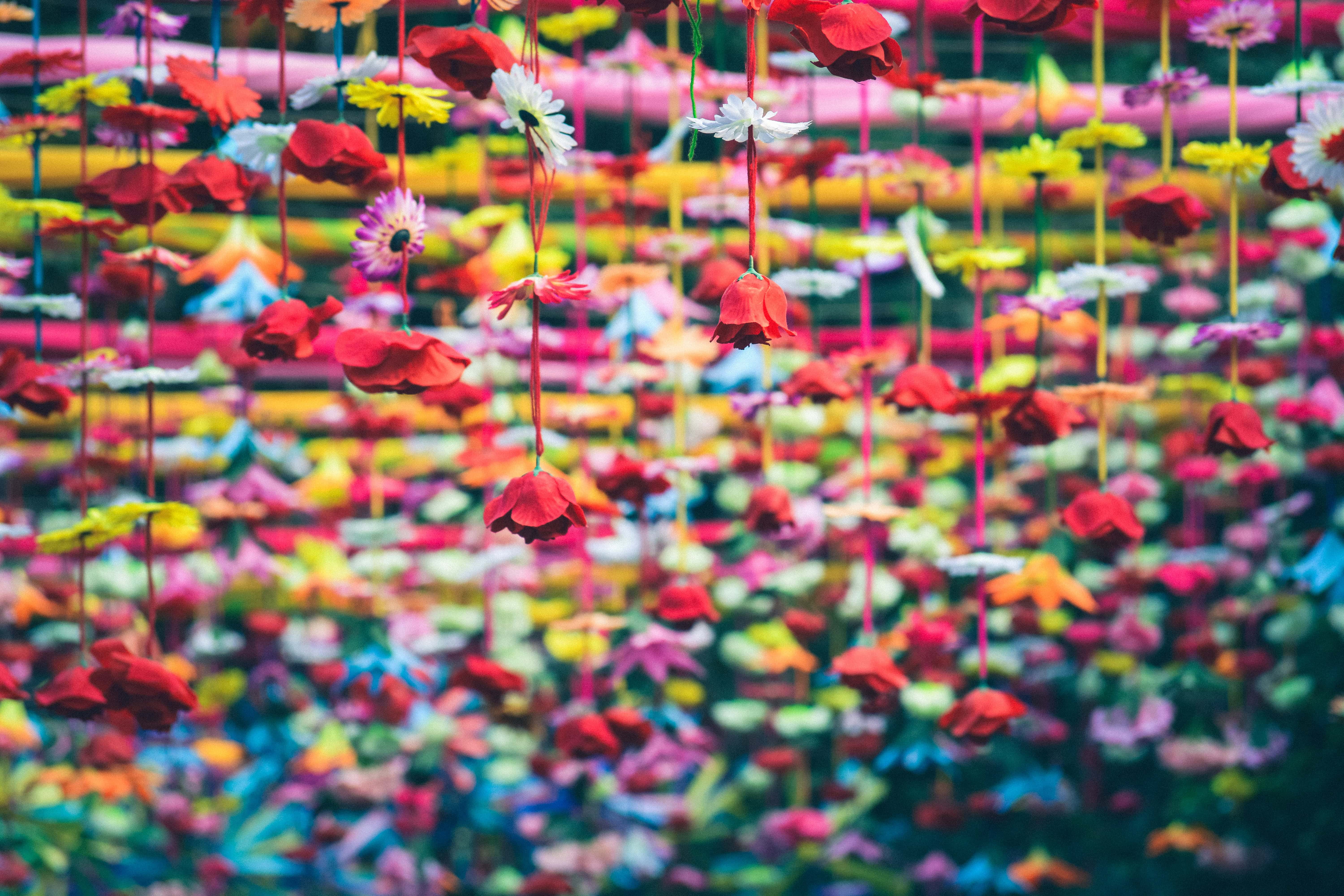 nikunj-gupta-224168-unsplash