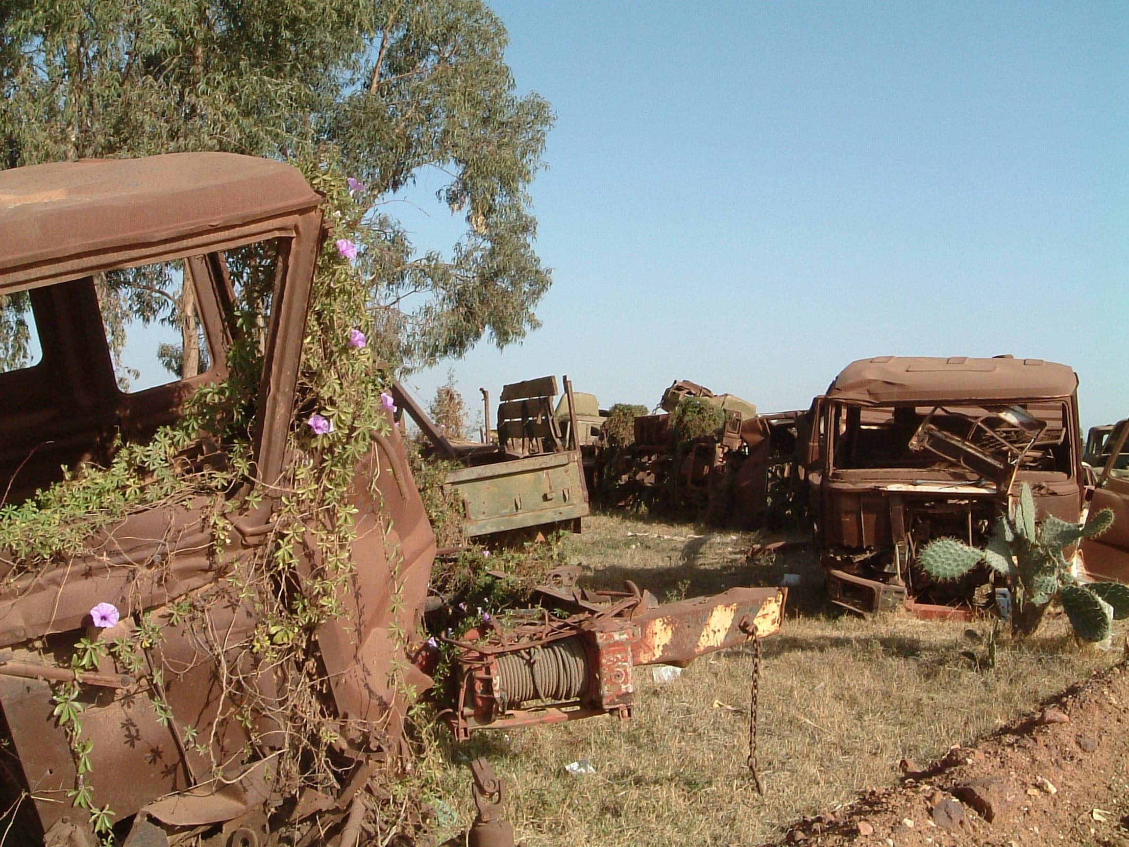 Tank Cemetry, Outside Asmara