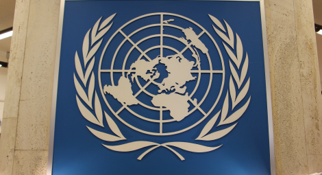 un-new-8